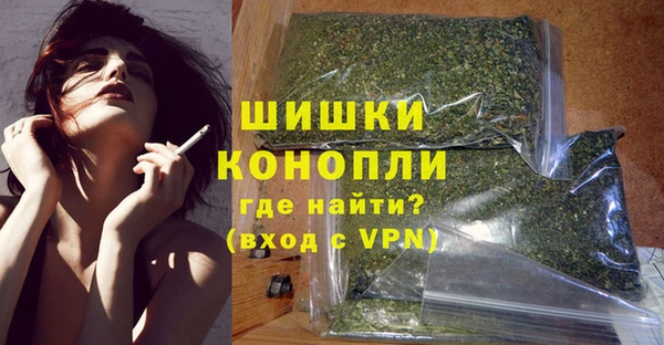 СК Пересвет