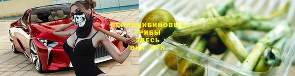 амф Алзамай