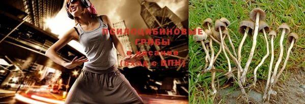 амф Алзамай